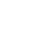 Professional Team