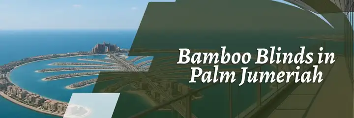 Bamboo Blinds in Palm Jumeriah