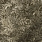 Buy Congo Velvet Neutral Roman Blind For Living Rooms