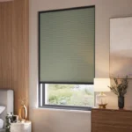 Buy Forest Thermal Blackout Blinds Dubai