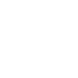 modern (1)